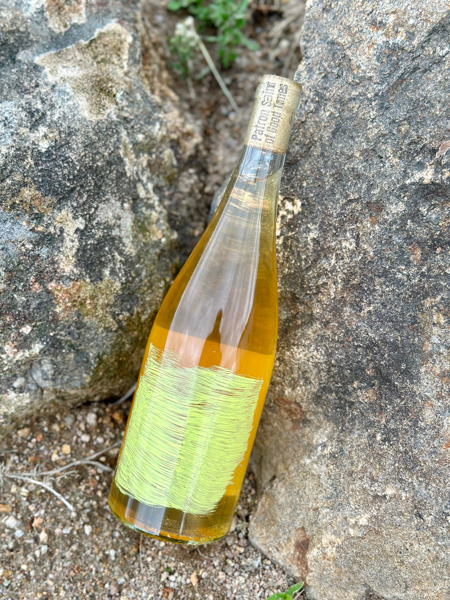 2023 Skinsy Boy (Orange Wine)